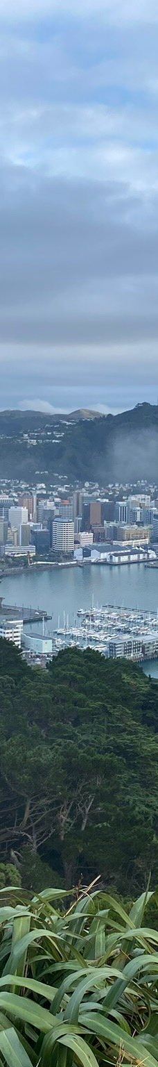 维多利亚山-惠灵顿