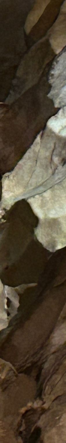 Grotte Saint-Marcel-比东