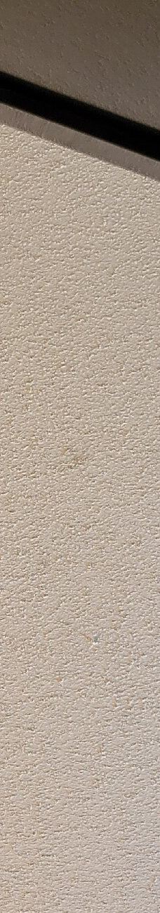 Point Lookout State Park-圣玛丽县