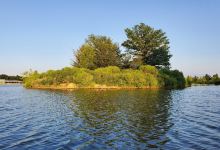 Shelby Farms Park景点图片