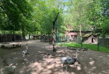 Zoo Eberswalde景点图片
