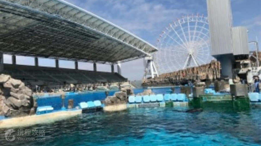 名古屋港水族館