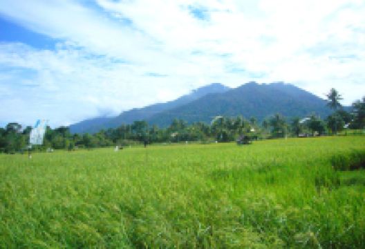 Sematan Village景点图片