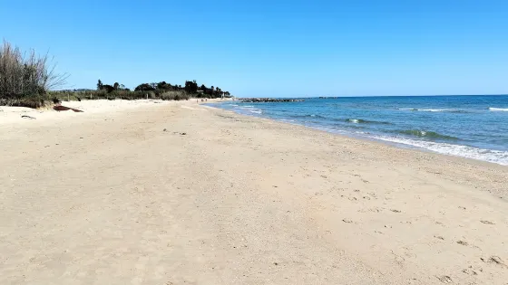 Riserva Naturalistica del Borsacchio