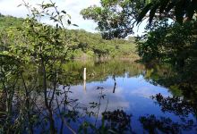 Laguna Charco Verde景点图片