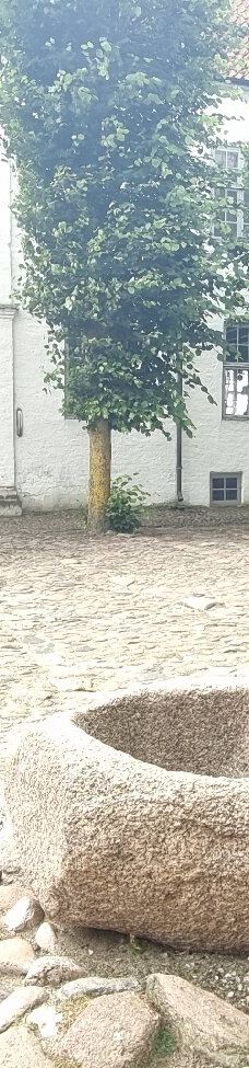 Borglum Kloster-弗罗