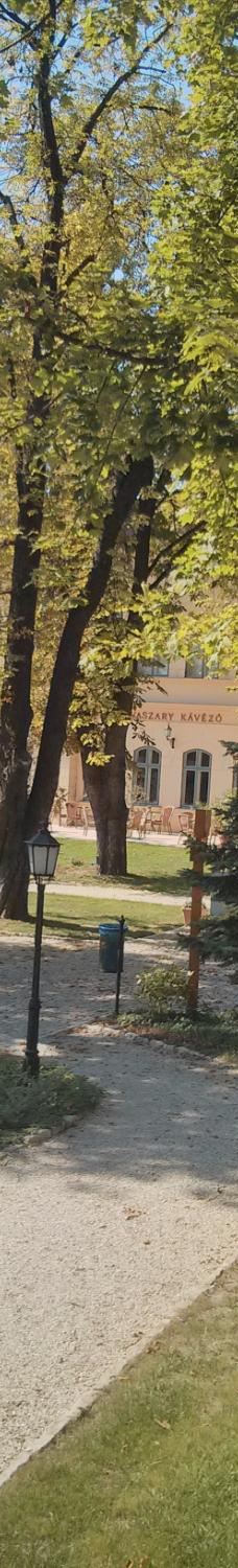 瓦萨里画廊-巴拉顿菲赖德