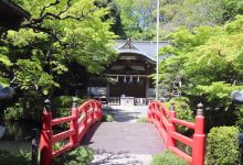 貫井神社景点图片