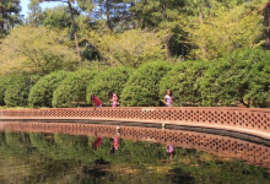 Walter Y. Elisha Park景点图片