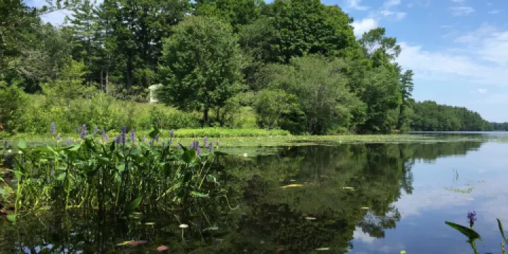 Whitehall State Park