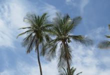 Playa Grande景点图片