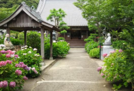 向徳禅寺景点图片