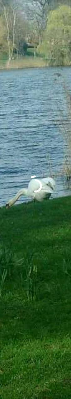 Lac de Creutzwald-柯哲斯瓦尔德拉克鲁瓦