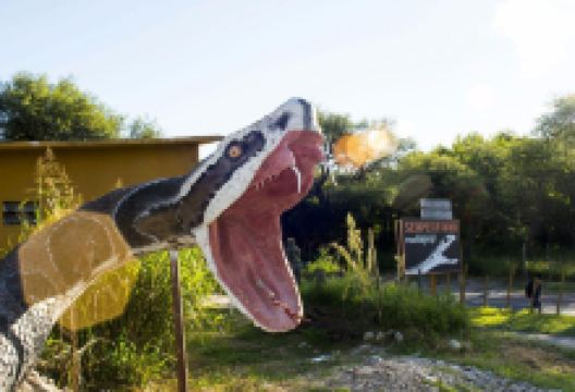 Serpentario Machaqway景点图片