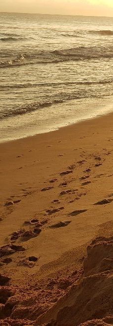 Narigama Beach-希克杜沃