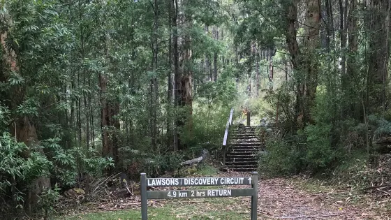 Lawson Picnic Ground