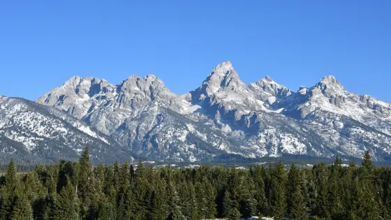 Blacktail Ponds Overlook