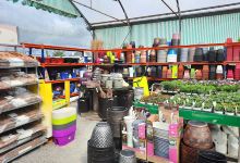 Moore Nurseries购物图片