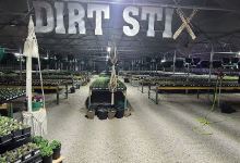 Dirt Stix Nursery购物图片