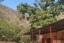 Chamuda (Bhudhli) Mata Ka Mandir Shreema Dausa景点图片