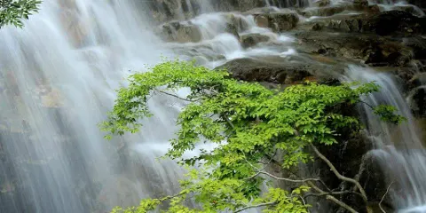 Shakunage Waterfall