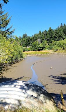 Alder Island Nature Trailhead-林肯县