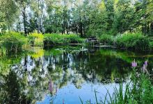Parc de la Roupie景点图片
