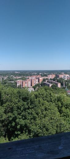 Monument at the Grave Ivan Kotliarevsky-Poltavs'ka city council