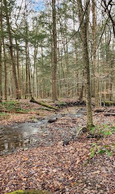 Jones Park-维斯塔