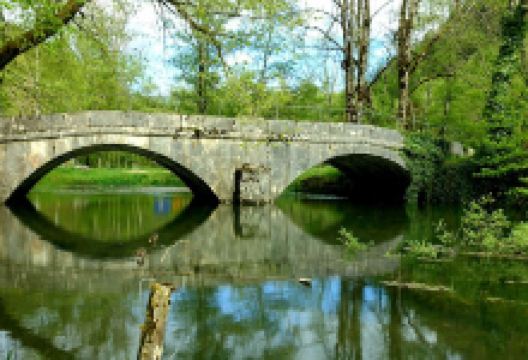 Camping du Val-de- Travers景点图片