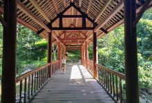 Thăng Thiên Waterfall景点图片