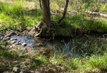 Wet Beaver Creek景点图片