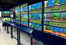 Les Serres De Rouvroy购物图片