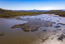 Cudgen Nature Reserve景点图片