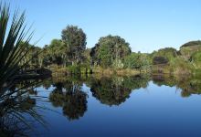 Nga Manu Nature Reserve景点图片