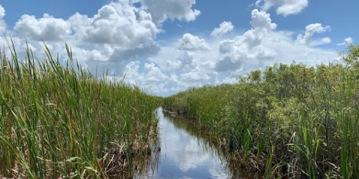佛羅里達大沼澤地