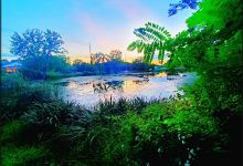 Furnace Dam Park景点图片