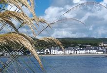 Port Ellen Community Garden景点图片