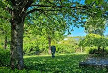 Stichting Van Swietentuin景点图片