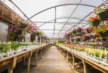 Corn Crib Nursery购物图片