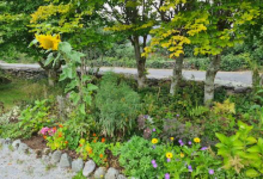 Garden of the Senses景点图片