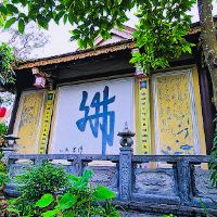 Duong Hao图片