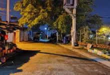 Cây Bồ Đề Ông Lan景点图片