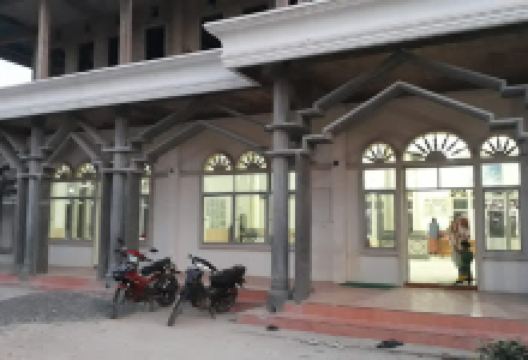Masjid Al Manshurin (LDII)景点图片