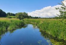 Ahrensee und nordöstlicher Westensee景点图片