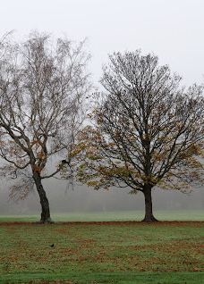 Hamilton Park-戈尔
