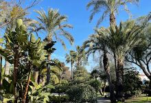 Las Lagunas Park景点图片