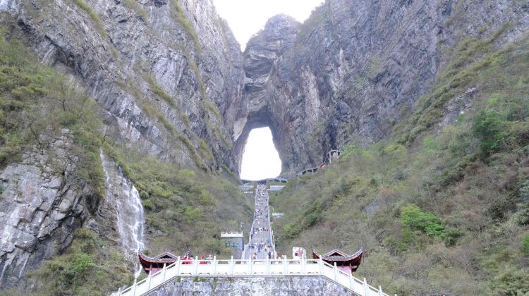 3D2N · Group Tours · Summer must visit Hunan Grand Canyon Glass Bridge + Zhangjiajie National Forest Park + Tianmen Mountain National Forest Park