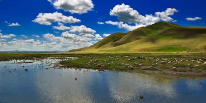 遙魯海日罕山景區(半拉山)