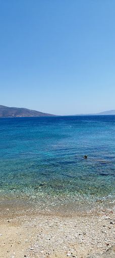 Cedar Forest of Alyko-纳克索斯